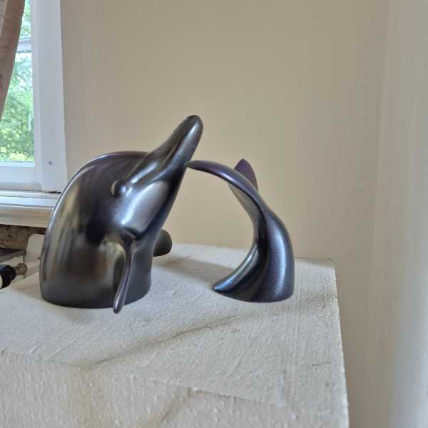 Dolfijn in twee delen